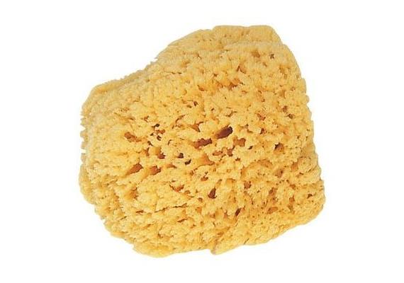 Naturschwamm, 10-15cm
