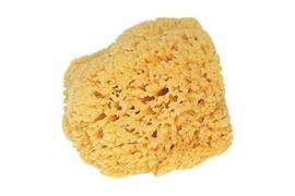 Naturschwamm, 10-15cm