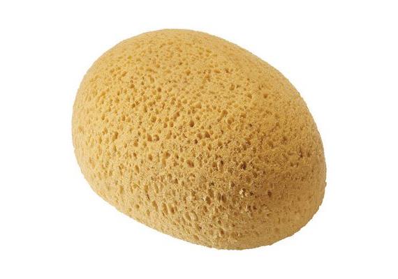 Polyester Schwamm, oval Polyester Schwamm, oval