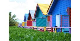 E-Impralan - Endbeschichtungen deckend