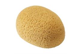 Eponge polyester, ovale
